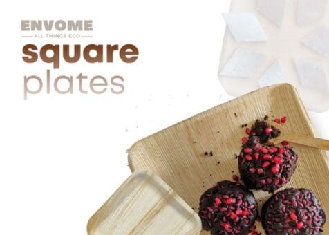 Envome Areca Square Plates